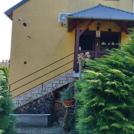 Hotel Anna Ilona Vendeghaz Badacsonytomaj Exteriér fotografie