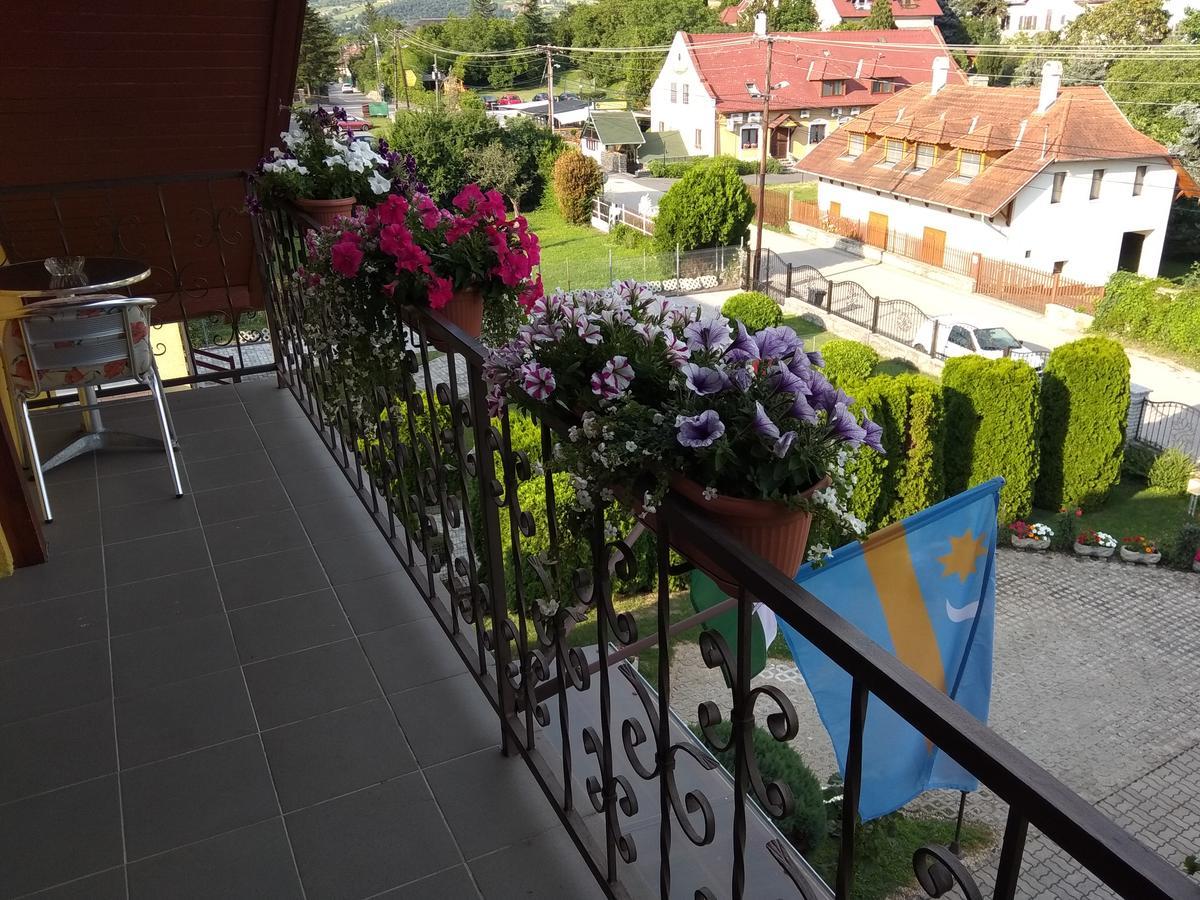 Hotel Anna Ilona Vendeghaz Badacsonytomaj Exteriér fotografie