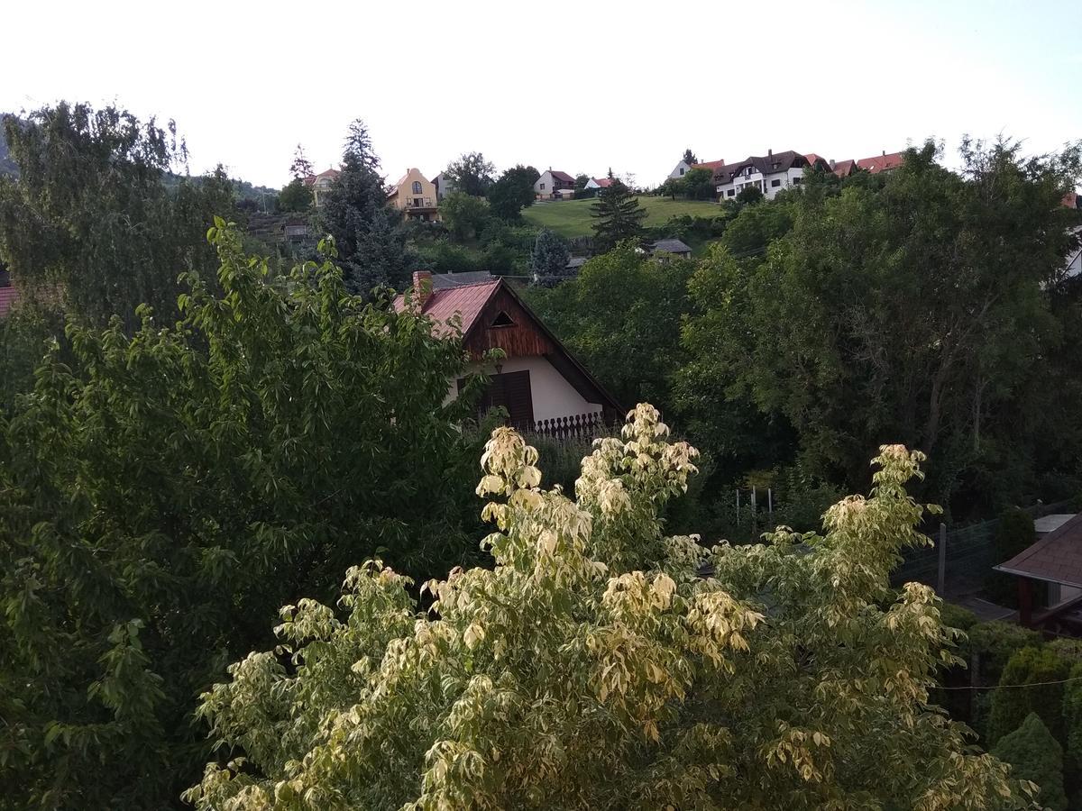 Hotel Anna Ilona Vendeghaz Badacsonytomaj Exteriér fotografie
