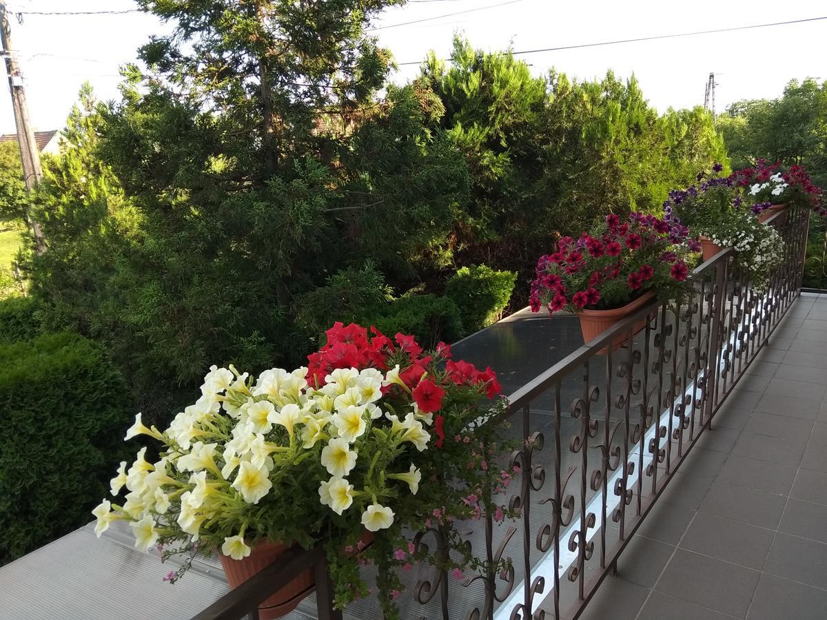 Hotel Anna Ilona Vendeghaz Badacsonytomaj Exteriér fotografie